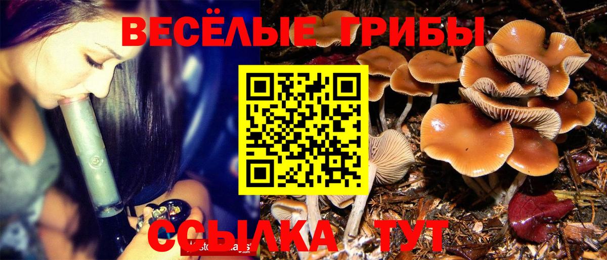 Узловая  Псилоцибиновые грибы GOLDEN TEACHER  Псилоцибиновые грибы ЛСД  Вход с VPN 